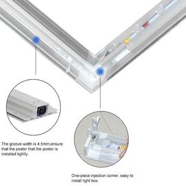 Isolato che annuncia la scatola leggera Backlit del LED con le strisce incorporate ed il driver di alto potere